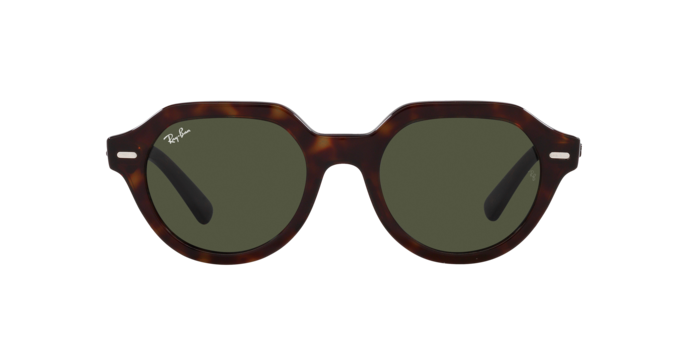 Ray-Ban Gina Sunglasses RB4399 902/31