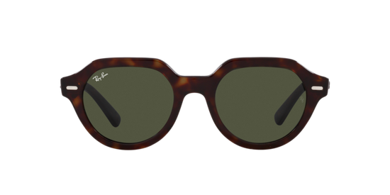 Ray-Ban Gina Sunglasses RB4399 902/31