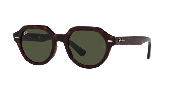 Ray-Ban Gina Sunglasses RB4399 902/31