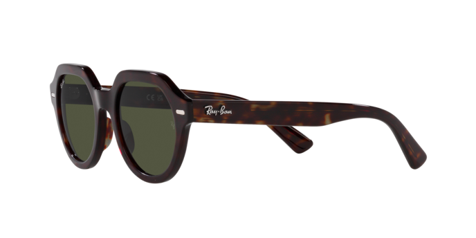 Ray-Ban Gina Sunglasses RB4399 902/31