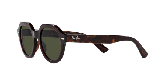 Ray-Ban Gina Sunglasses RB4399 902/31