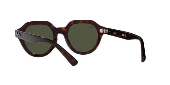 Ray-Ban Gina Sunglasses RB4399 902/31