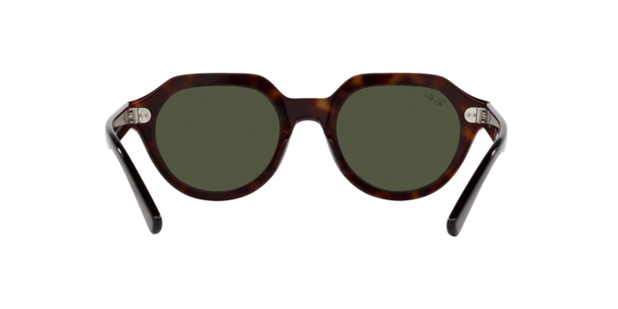 Ray-Ban Gina Sunglasses RB4399 902/31