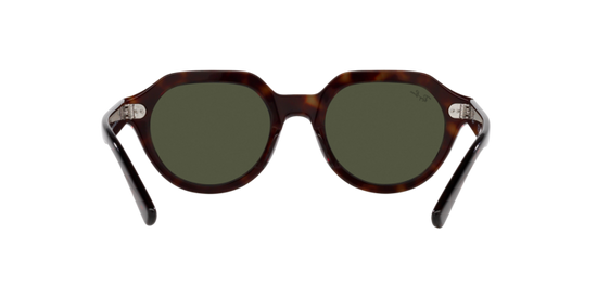 Ray-Ban Gina Sunglasses RB4399 902/31