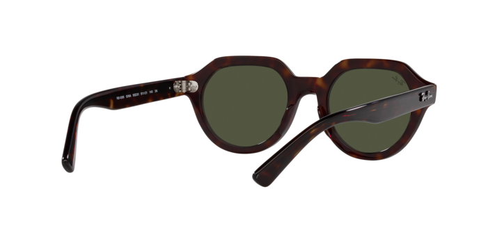 Ray-Ban Gina Sunglasses RB4399 902/31