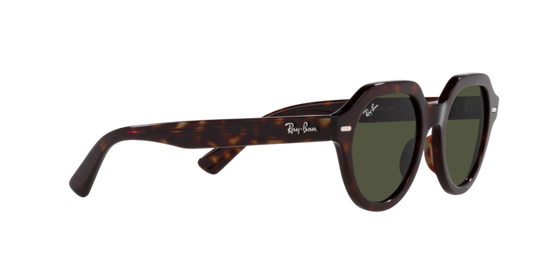 Ray-Ban Gina Sunglasses RB4399 902/31