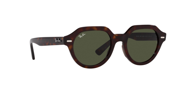 Ray-Ban Gina Sunglasses RB4399 902/31