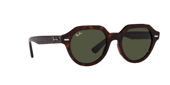 Ray-Ban Gina Sunglasses RB4399 902/31