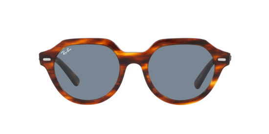 Ray-Ban Gina Sunglasses RB4399 954/62