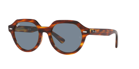 Ray-Ban Gina Sunglasses RB4399 954/62