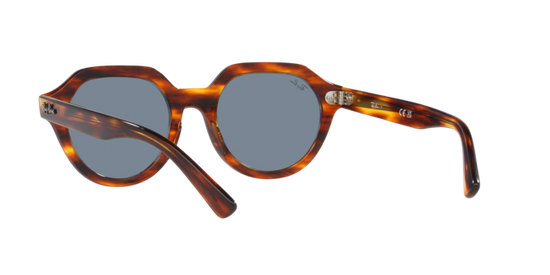 Ray-Ban Gina Sunglasses RB4399 954/62