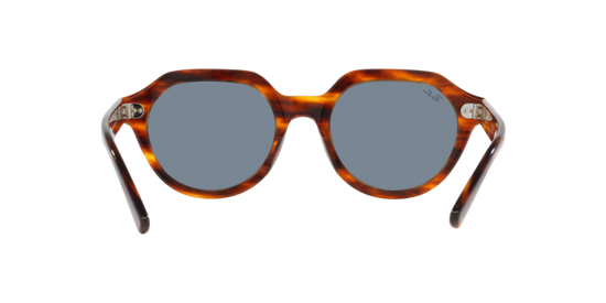 Ray-Ban Gina Sunglasses RB4399 954/62