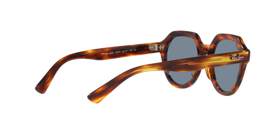 Ray-Ban Gina Sunglasses RB4399 954/62