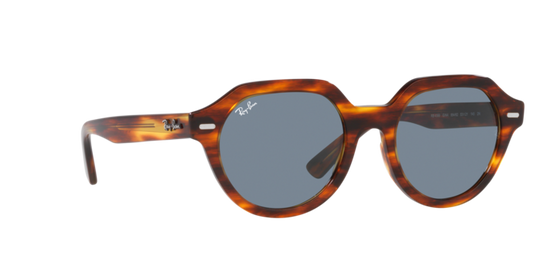 Ray-Ban Gina Sunglasses RB4399 954/62