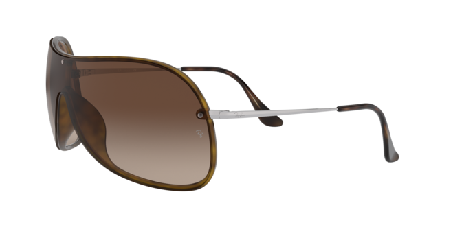 Ray-Ban Sunglasses RB4411 710/13
