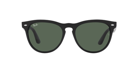 Ray-Ban Iris Sunglasses RB4471 662971