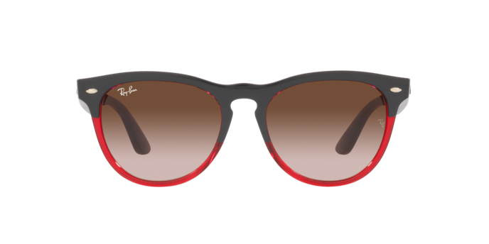 Ray-Ban Iris Sunglasses RB4471 663113