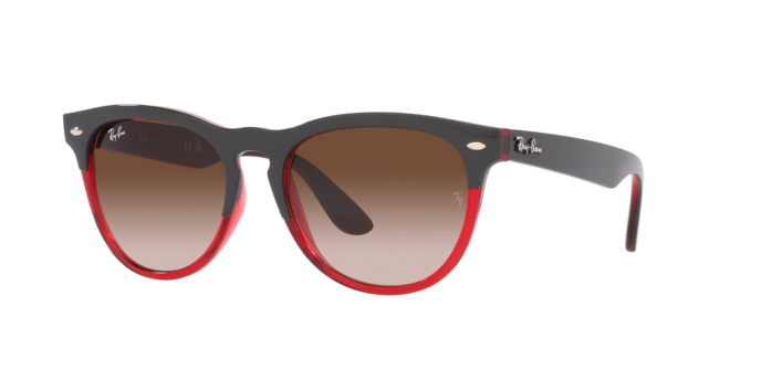Ray-Ban Iris Sunglasses RB4471 663113