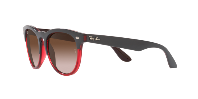 Ray-Ban Iris Sunglasses RB4471 663113