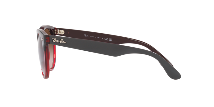 Ray-Ban Iris Sunglasses RB4471 663113