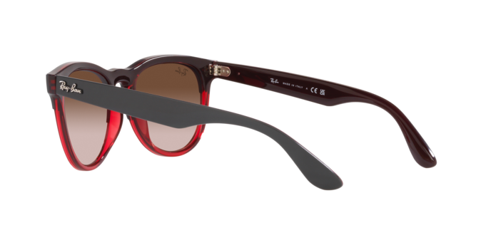 Ray-Ban Iris Sunglasses RB4471 663113