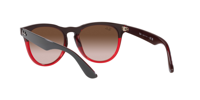 Ray-Ban Iris Sunglasses RB4471 663113