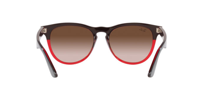 Ray-Ban Iris Sunglasses RB4471 663113