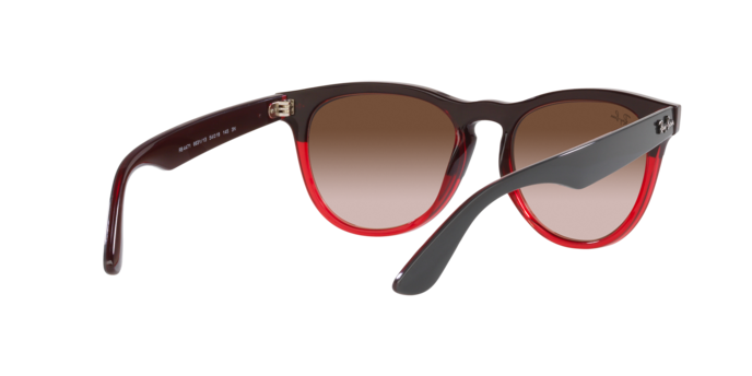 Ray-Ban Iris Sunglasses RB4471 663113