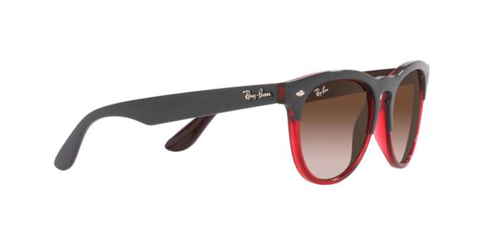 Ray-Ban Iris Sunglasses RB4471 663113