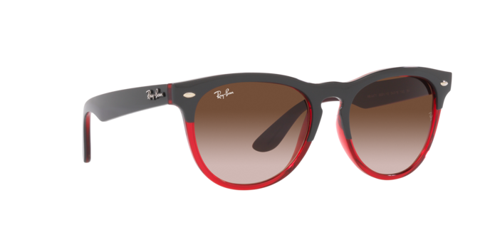 Ray-Ban Iris Sunglasses RB4471 663113
