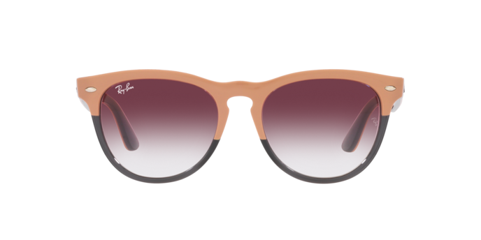 Ray-Ban Iris Sunglasses RB4471 66338H