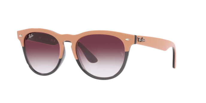 Ray-Ban Iris Sunglasses RB4471 66338H