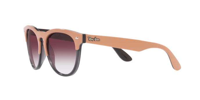 Ray-Ban Iris Sunglasses RB4471 66338H