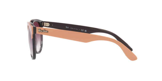 Ray-Ban Iris Sunglasses RB4471 66338H