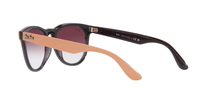 Ray-Ban Iris Sunglasses RB4471 66338H