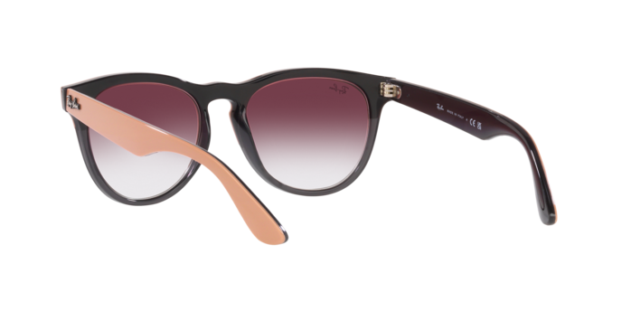 Ray-Ban Iris Sunglasses RB4471 66338H