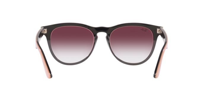 Ray-Ban Iris Sunglasses RB4471 66338H