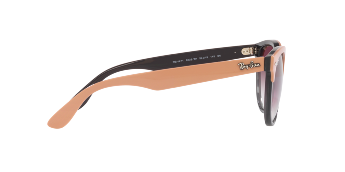 Ray-Ban Iris Sunglasses RB4471 66338H