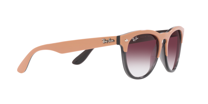 Ray-Ban Iris Sunglasses RB4471 66338H