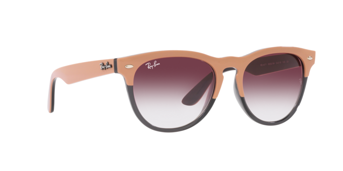 Ray-Ban Iris Sunglasses RB4471 66338H