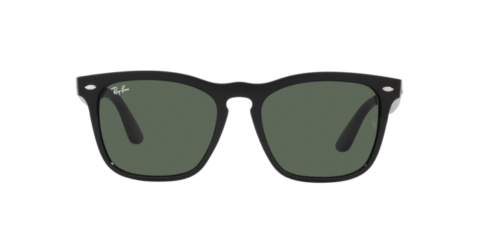 Ray-Ban Steve Sunglasses RB4487 662971