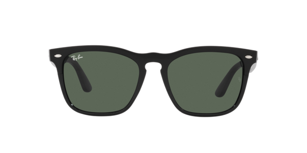 Ray-Ban Steve RB4487 662971