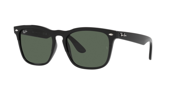 Ray-Ban Steve Sunglasses RB4487 662971