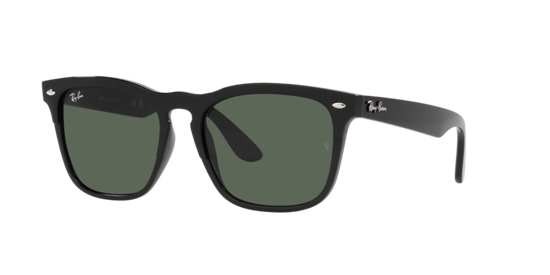 Ray-Ban Steve Sunglasses RB4487 662971