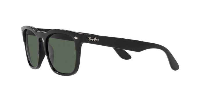 Ray-Ban Steve Sunglasses RB4487 662971