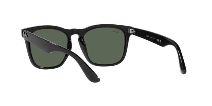 Ray-Ban Steve Sunglasses RB4487 662971