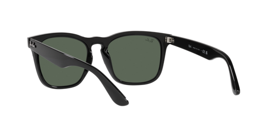 Ray-Ban Steve Sunglasses RB4487 662971