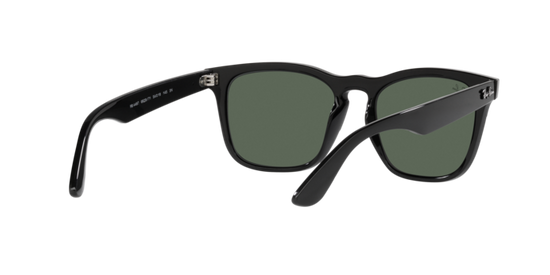 Ray-Ban Steve Sunglasses RB4487 662971