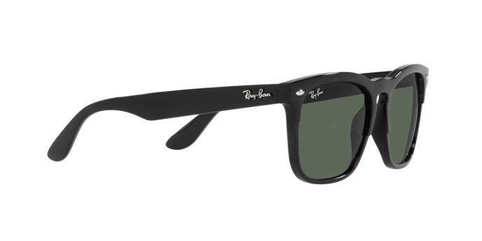 Ray-Ban Steve Sunglasses RB4487 662971