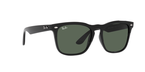 Ray-Ban Steve Sunglasses RB4487 662971